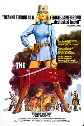 开封网站seo优化推广